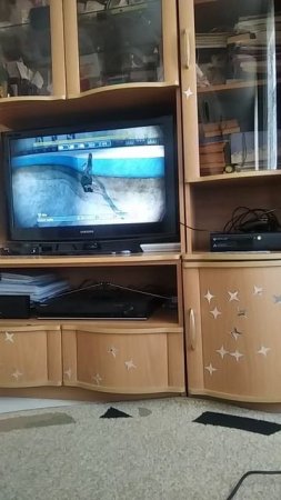VID_20250704_115949.mp4