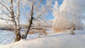 АХ, КАК СЕРДЦУ ХОЧЕТСЯ...👍(В.Сёмин)👍👍👍