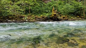 Абхазия, Горная река! СУПЕР!