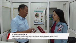 Владельцев собак обязали чипировать своих питомцев