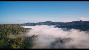 Деревенские истории. Страшные. Мистические. Творческие истории. Хоррор