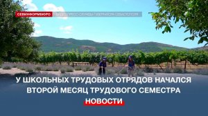 У севастопольских школьных трудовых отрядов начался второй месяц трудового семестра