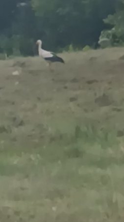 1000081249.mp4