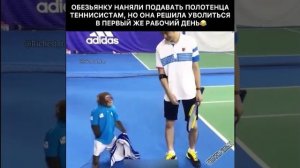 tennisista