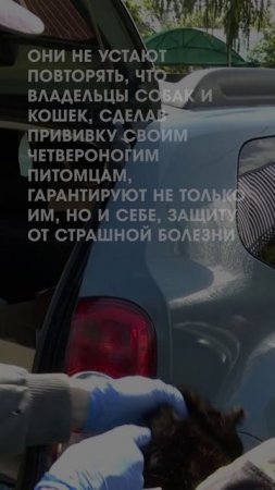 Борьба с заболеваниями животных