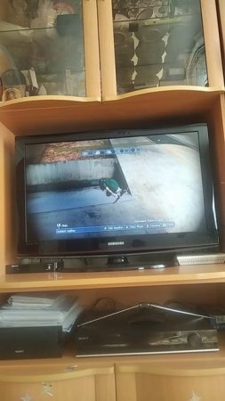 VID_20250704_162046.mp4