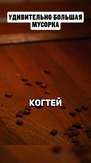 ФИЛЬМ НА ВЕЧЕР !