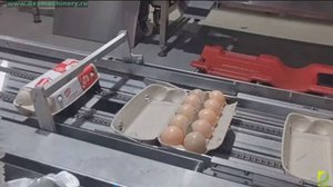 Автоматические закрыватели лотков яиц #лоток #ячейка #упаковка #яйца #птицы #сортировка #линия #dxy