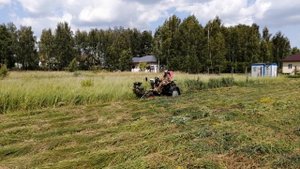 Передний адаптер для мотоблока Ока. Савраска. Кошу на сено коровкам. Часть 2.