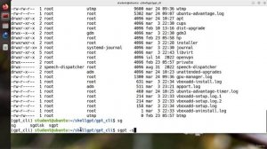 003 Using ShellGPT like a PRO