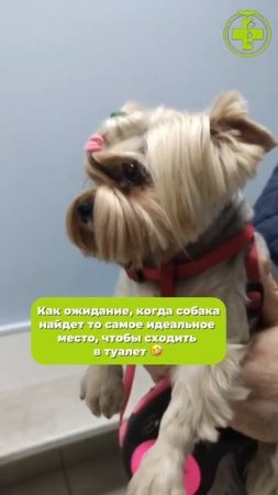 Знакомо?