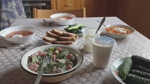 Готовлю обед и консультируюсь с Алисой. Как бороться с луковый мухой.