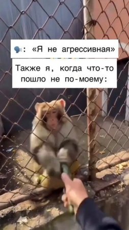я не агресивная