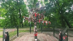 Дерево счастья. Золотая аллея. ул Карла Маркса