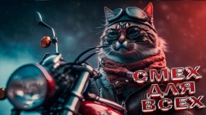 СМЕШНЫЕ, ЮМОРНЫЕ КОТЫ \ САМЫЕ ЗАБАВНЫЕ ЖИВОТНЫЕ \ ЛУЧШИЕ ПРИКОЛЫ 2025!ТОП