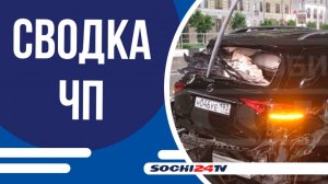 В лесу недалеко от Солохаула мужчина неожиданно столкнулся с медведем