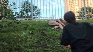 1000002959.mp4