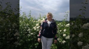 "Авыл койлэре"
исполняют: дуэт Роза Ахунова +Ф