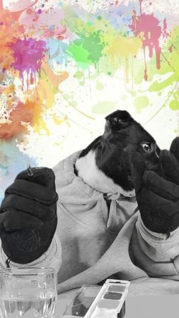 Собака-художник: как пёс раскрашивает мир 🎨🐶 #стаффи #цвета #краски #кисти #раскраска #чернобелый