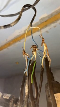Золотые руки