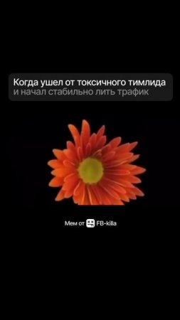 Когда ушел от токсичного тимлида и начал стабильно лить трафик