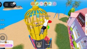 игра с котятоми