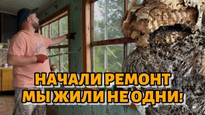 Ремонту быть. Начали с выселения незаконных жителей! Далее забор
