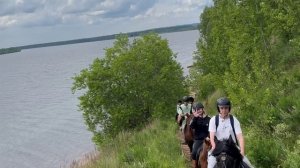 Дневник конных сборов от 21 июня 2025 года