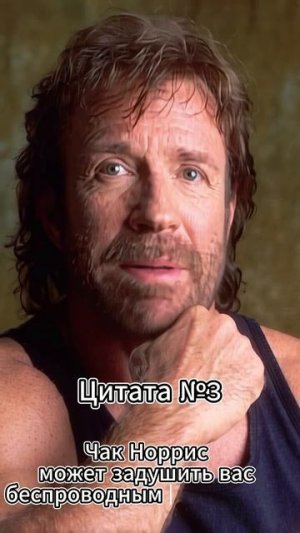 Chuck Norris (Чак Норрис) Цитата №3