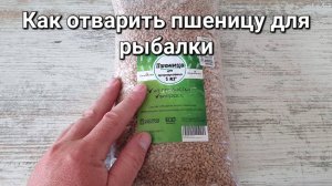 Пшеница на плотву, карася, леща