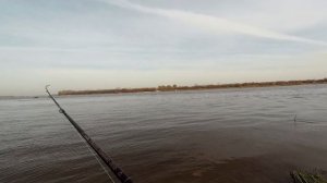 С отводным поводком на Волге.От Кстово до Стрелки.