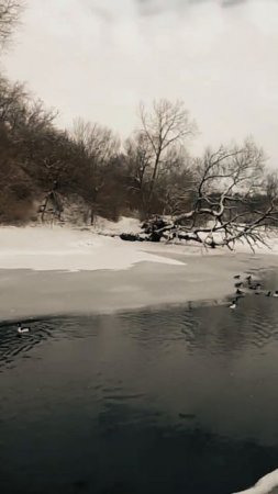 Biking Across a Frozen Lake Ontario – Insane Winter Ride! #1 #shorts