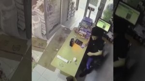 Похоже, все призраки — это просто коты...