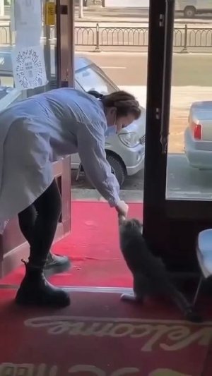 Котик никак не хотел уходить,и ... не ушёл ❤️😉👍🐈