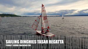 ⛵ Гонки парусных лодок Tasar в заливе Пьюджет — захватывающее регатное шоу с высоты!