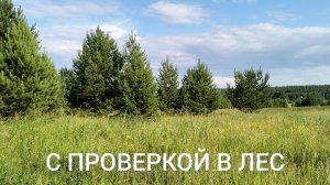 А ЕСТЬ ЛИ ГРИБЫ? / Деревенька на Урале / Выпуск 63
