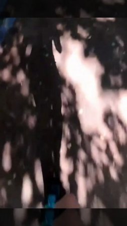 1000068529.mp4