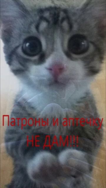 Team fortress 2. Не дал патронов и аптечку teamfortress2 tf2 tf2funny tf2casual