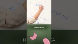 Язык расскажет о ВСЕХ ваших болезнях! #здоровье #язык #китайскаямедицина