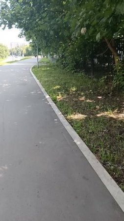 В сквере.