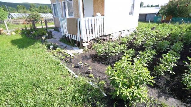 Продается садовый участок в саду Солнечный города Верхний Уфалей Челябинская область смотреть онлайн