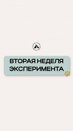 Вторая неделя эксперимента