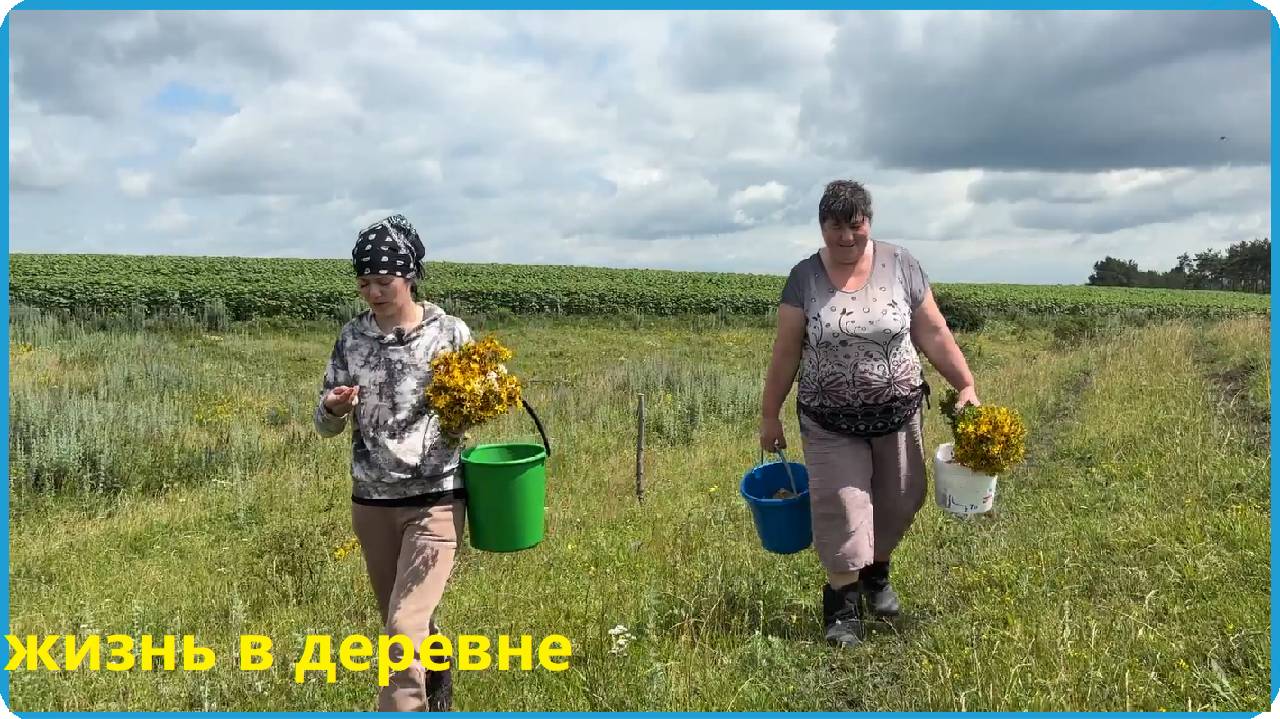 ВЫТАЩИЛИ БАБУШКУ ЗА ЯГОДАМИ, ДЕРЕВЕНСКИЕ ЛАЙФ ХАКИ, ЖИЗНЬ В ДЕРЕВНЕ