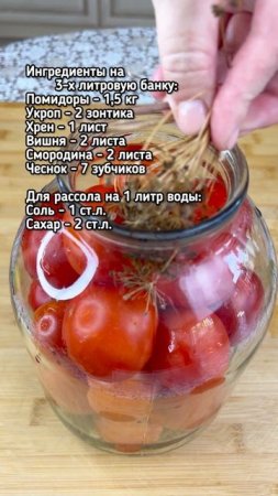 Рецепт вкусных малосольных помидор