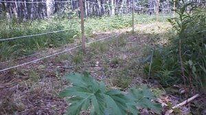 пасека кочевой павильон пчеломодули