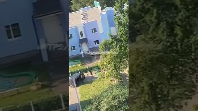 Украинский не доброволец.