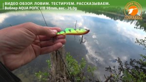 Видео обзор воблера (раттлина) Ропс Vib. Рыбалка на щуку.