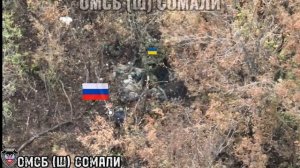 🔴Контрольный в кастрюлю🔴