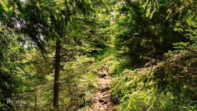 Мирная музыка, расслабляющая музыка, кельтская инструментальная музыка 🎻🍀 [Музыка без рекламы]