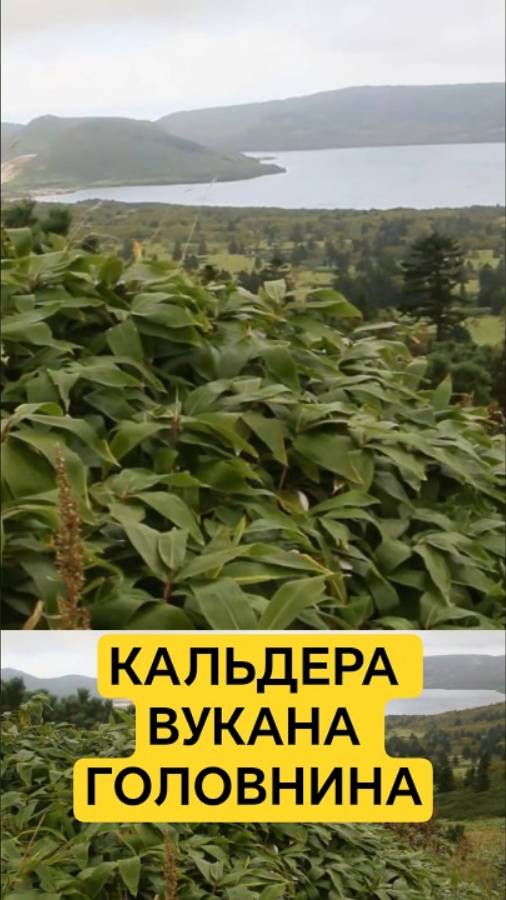 Что такое кальдера вулкана? Вулкан Головнина на острове Кунашир